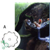 Aquarium Feeding Tray Clear Fish Shrimp Food Feeder Tube Dish Shrimp Bowl Feeding Ring Fish Tank Decoration Accessories