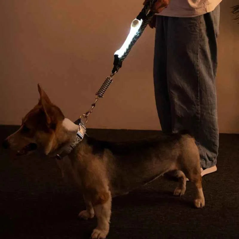 Water Resistant Dog Safety Collar with Multi Color Pendants and LED Light Strip for Night Visibility and Outdoor Use