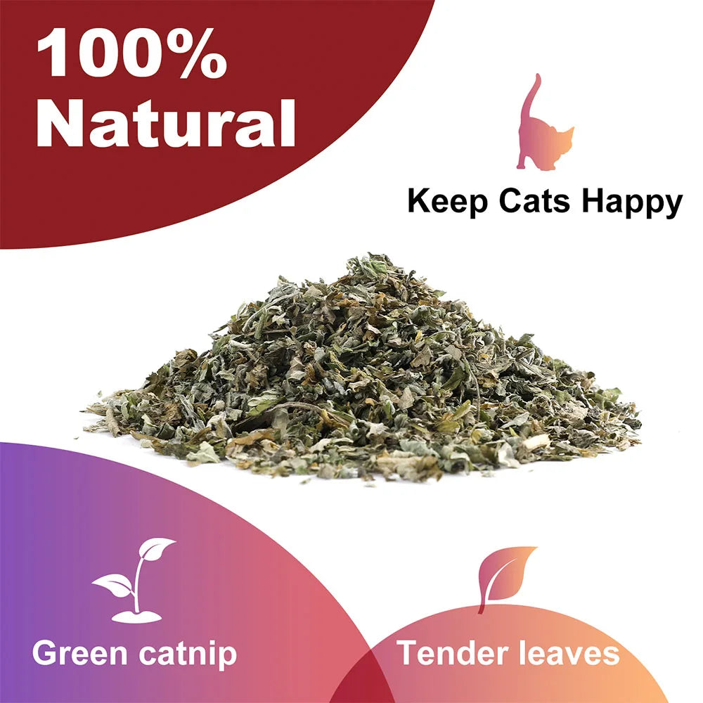 Organic 100% Natural High Quality Catnip Cattle Grass Mint Taste Funny Cat Toy New Cat Toy Interactive Cat Toys Pet Supplies
