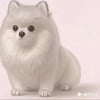 Dog Cat Hair Storage Pendant Keychain Box Couple Car Key Chains Jewelry Souvenir Pet Lover Keepsake Memorial Keychain Gift Decor