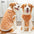 1.5-25kg Flannel Dogs Clothes Winter Warm Sweater Pet Clothing Golden Retriever Dog Coats Sweatshirt Pets Puppy Pullover Vest