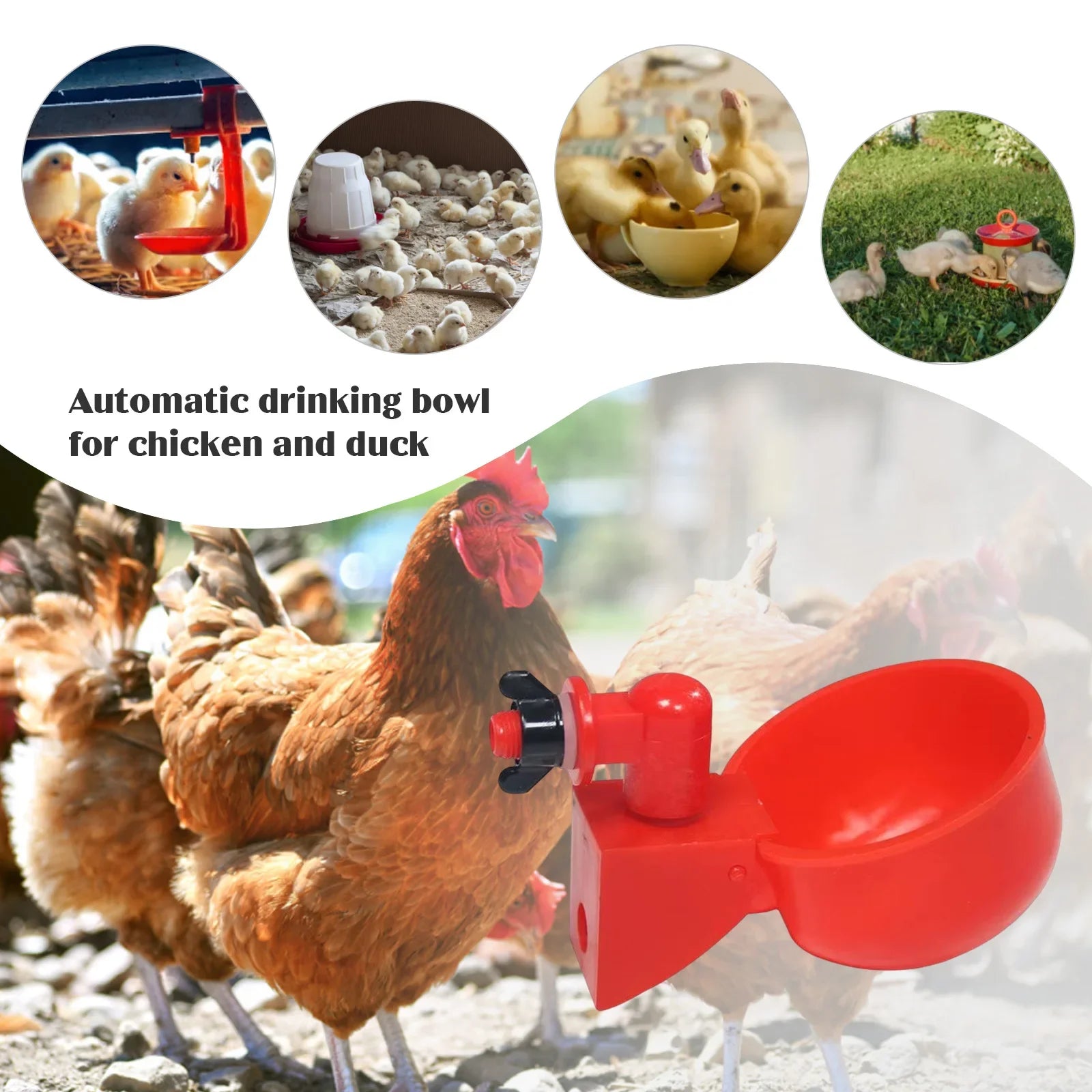 6-36Pcs Chicken Duck Drinking Cup Automatic Drinker Chicken Feeder Plastic Poultry Farm Water Drinking Cups Easy Installation