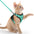 Cat Harness Lead Leash Set Adjustable Reflective Escape Proof Pet Mesh Vest Harness Puppy Dog Collar Small Dog Cat Pet Supplies - Play Paws Toys