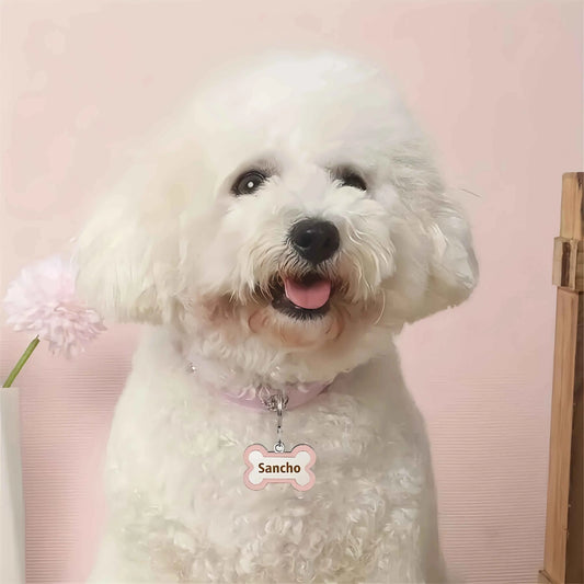 Customized Leather Dog Collar With Bone-Shaped Pet Tag, Double-Sided Engraved Pet Name And Phone, Metal Decoration Anti-Lost Foo