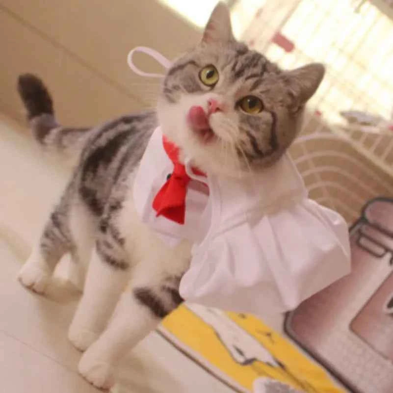 Funny Cat Chef Costume,Party Cosplay Outfit with Hat for Kittens, Cute Cooking Baker Pet Dress Up Party Apparel Free Shipping