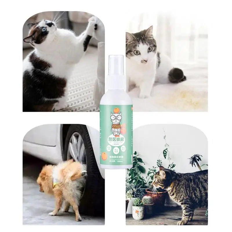 Stop Cat Spraying 100ml Citrus Cat Spray For Scratching Protect Plants Floors Carpets Establish Boundaries Furniture Sofas Rugs