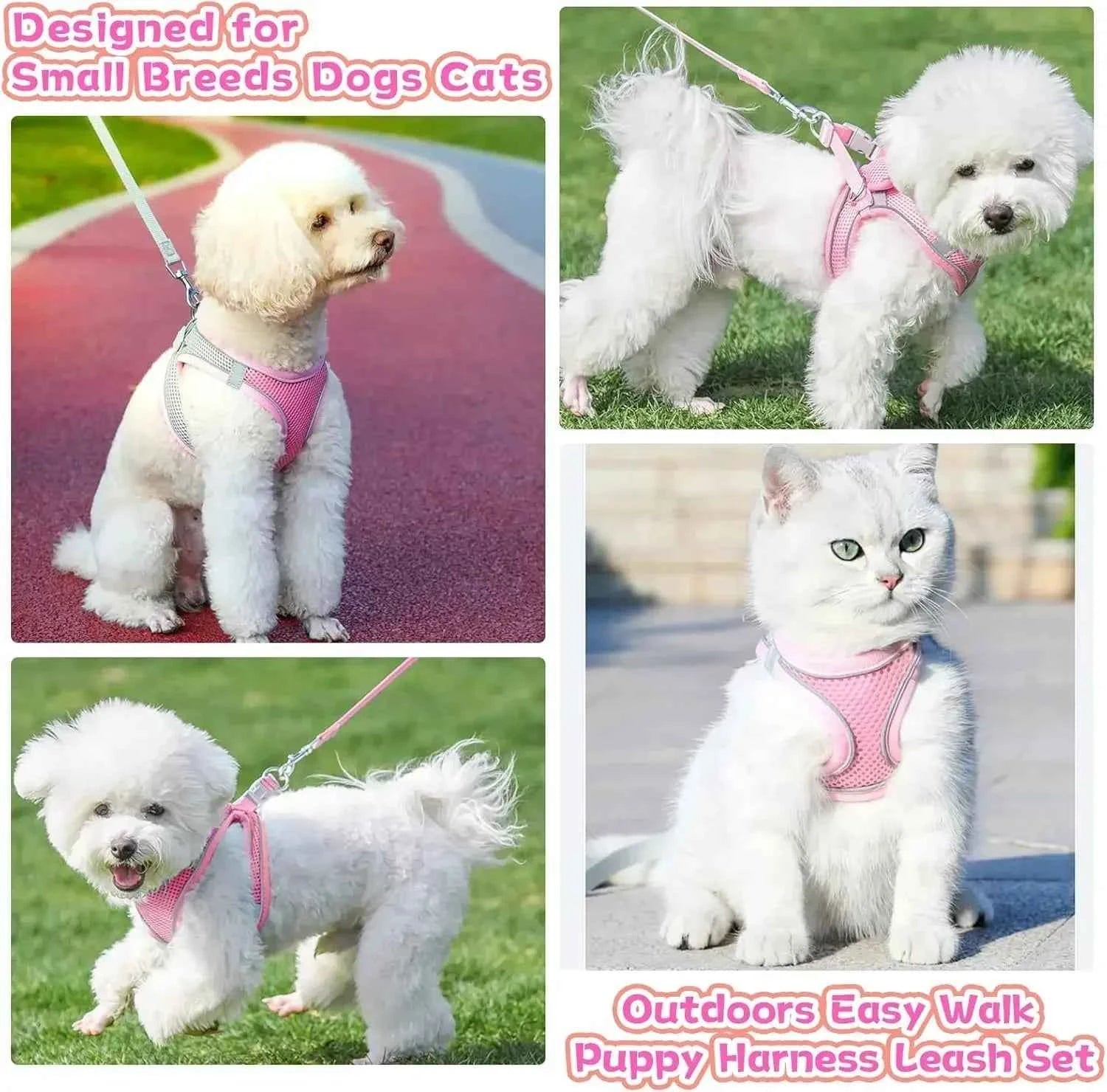 Cat Harness Adjustable Pet Harnesses Reflective Leashes Set Pet Harness for Cats Small Dogs Pug Chihuahua Cat Accessories