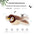 Hot Cat Interactive Toys Catnip Electric Pat Bird (with Catnip) Dog Cats Touch-Activated Squeaky Plush Toy Pet USB Rechargeable