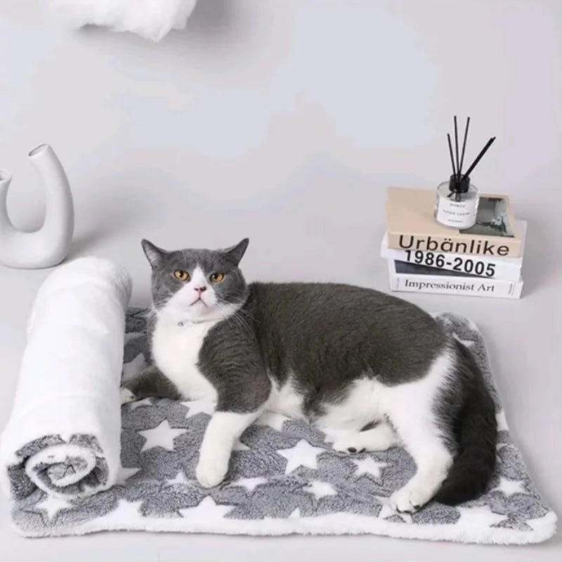 Thickened Comfortable Warm Small Cat Sleeping Cushion Skin-friendly Cute Winter Medium Dog Sofa Mat for Puppy Bed Accessories - Play Paws Toys