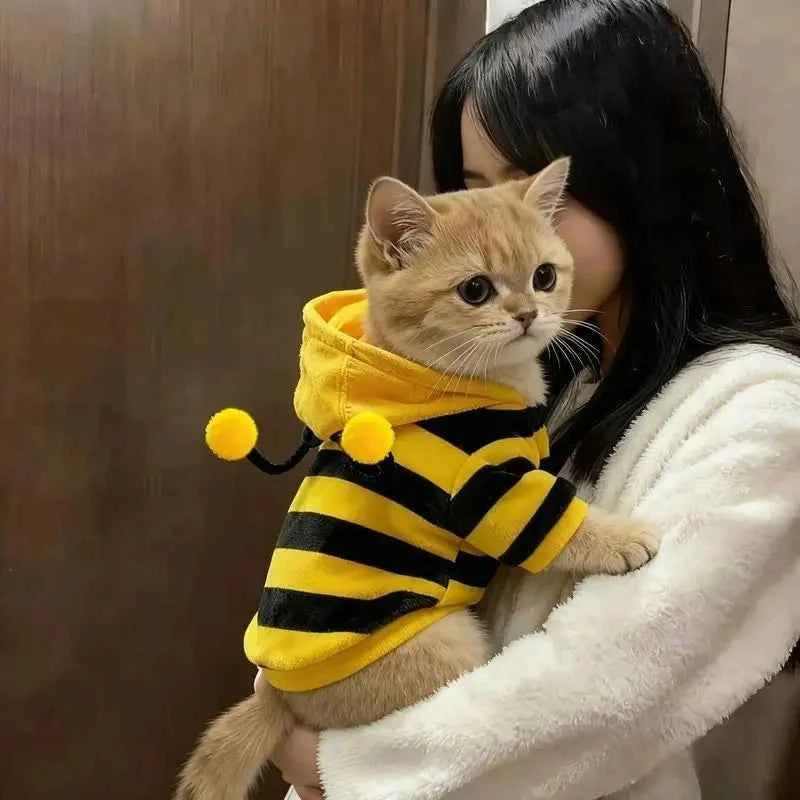 Funny Cat Clothes Anti-Slip Small Bee Beagle Dog Cute Blue Cat Spring and Autumn New Pet Hoodie