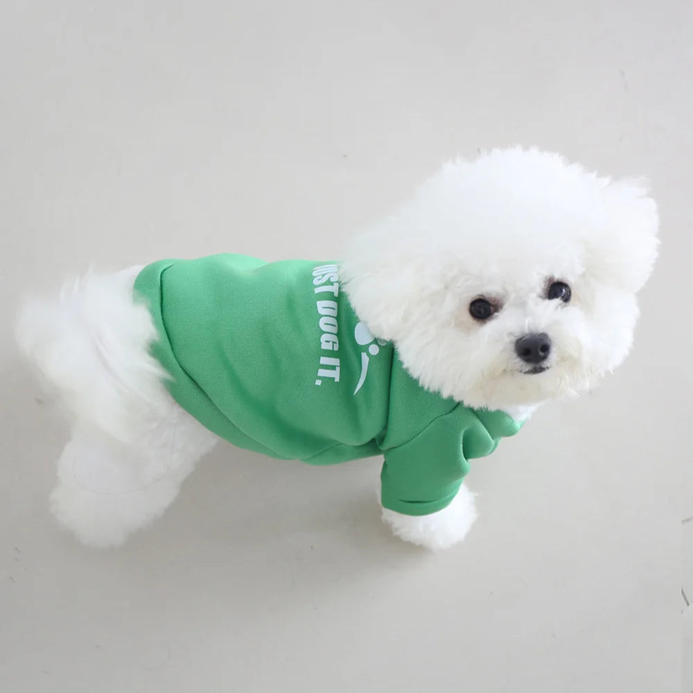 Autumn and winter pet clothes, cute English letter velvet round neck hoodie, super cute cat and dog universal clothes, fashionab