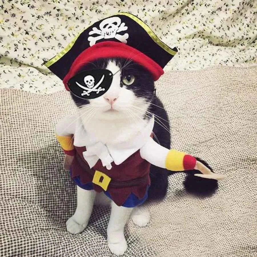 【New style】Cat Pirate Costume - Pet Hat, Skull Triangle Bandana, Halloween For Dogs Cats With Captain Headwear And Party Neckla