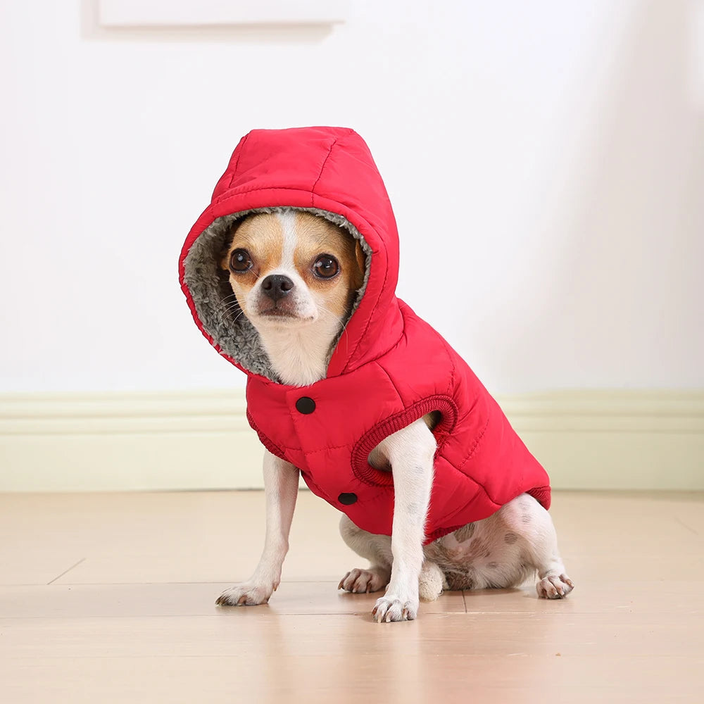 Warm Cats Hoodie Coat For Small Medium Cats Dog Winter Cozy Fleece Puppy Kitten Jacket Clothes Windproof Pet Pug Sphynx Costume - Play Paws Toys