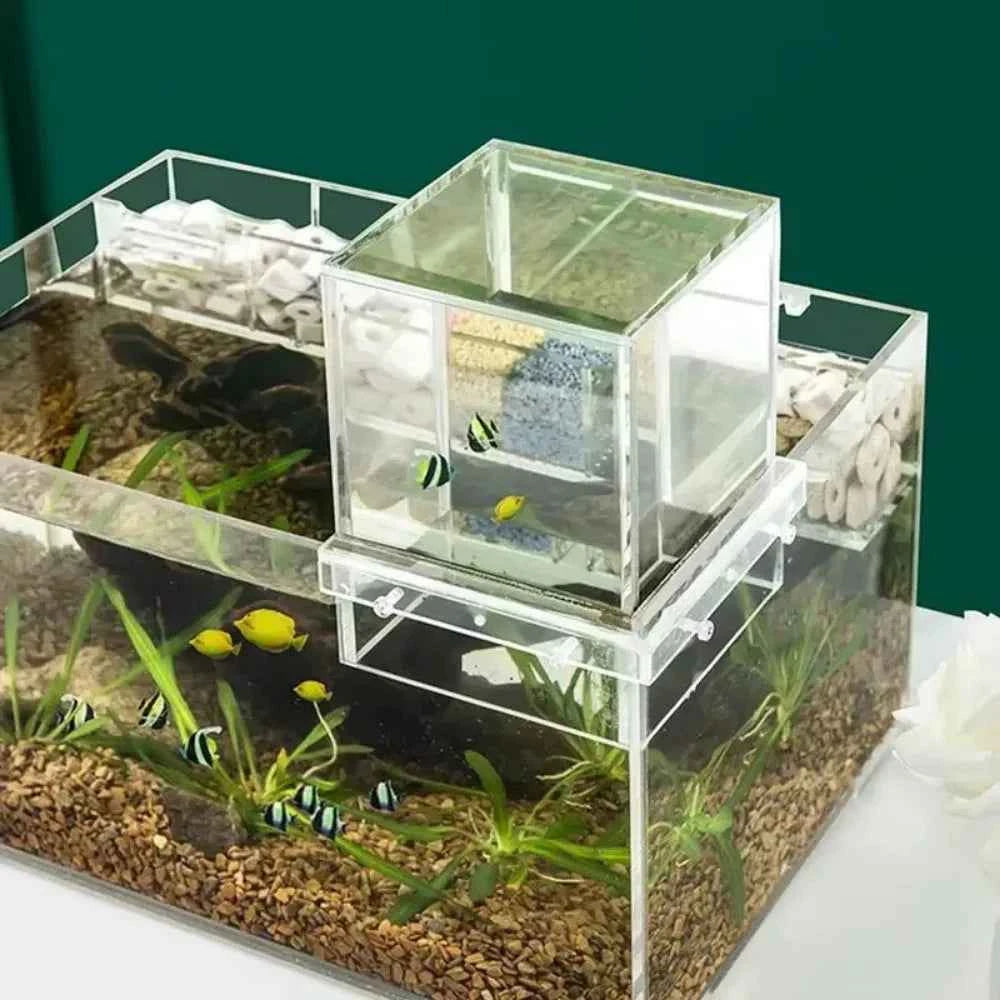 Landscaping Negative Pressure Fish Tank Unique Eye-catching Acrylic Suspended Fish Tank Easy to Install
