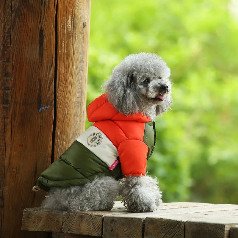 Dog Jacket Waterproof Luxury Dog Clothes Pet Down Cotton Vest Chihuahua French Bulldog Winter Dog Coat Puppy Warm Dog Costume