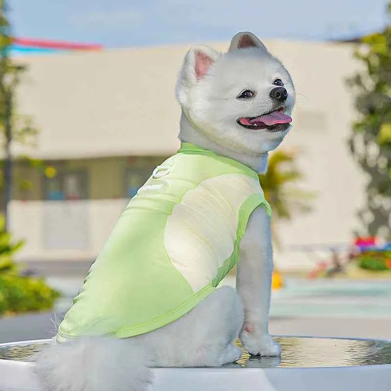 Summer Cooling Vest Thin Pet Dog Clothes Breathable Mesh Dog T Shirt Chihuahua Bichon Dog Clothing Cat Vests Puppy Undershirts