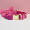 Velvet Collar Free Engrave Dog Collar Leash For Medium Big Pet Necklace Dog Accessories Dog Collars