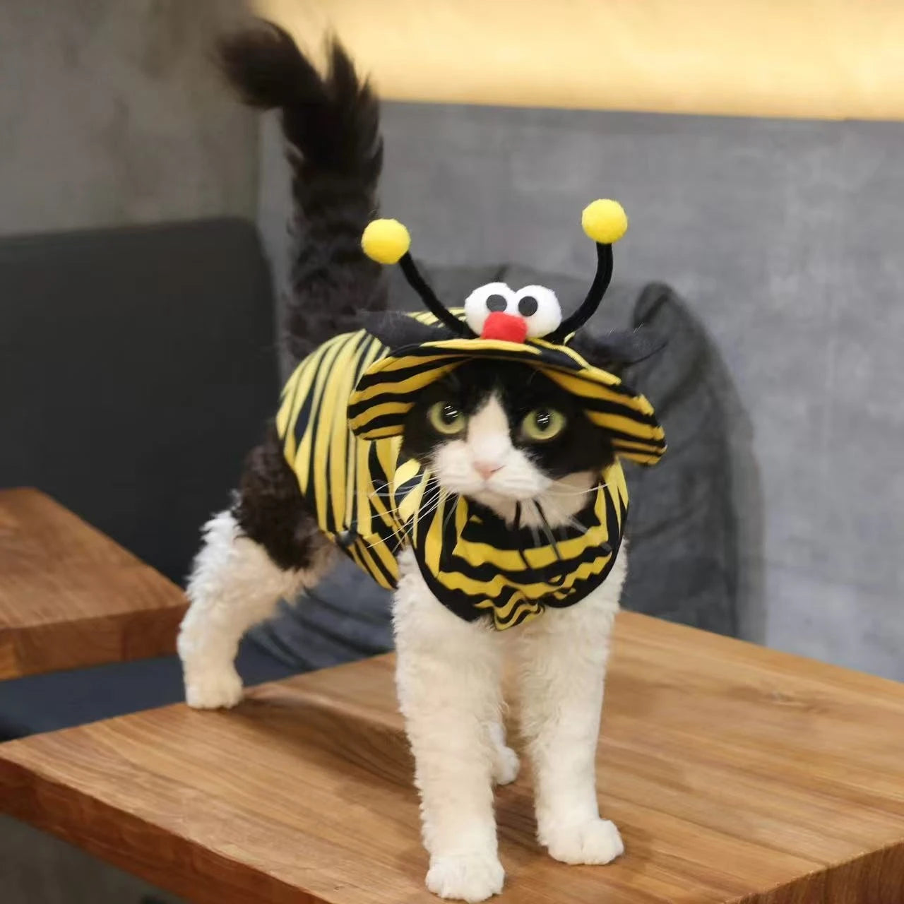 2Pcs Bee Themed Cat Outfit Set, Striped T-Shirt + Sun Hat, Cute Pet Costume for Halloween & Photo Props, Breathable Outfit for S