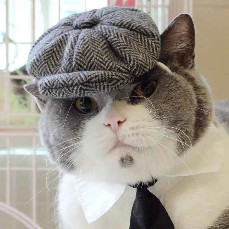 Funny Pet Cat Hat Gentleman's Hat Beret Tie Bathing Blood Gangster Handsome Cosplay Photo Prop Pet Halloween Costume