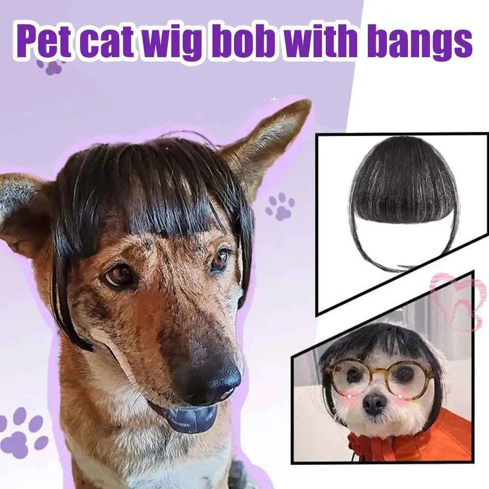 Cat Wig Accessories Dog Headdress Funny Costume Puppy Cosplay Dress Up Funny Pet Wig Cosplay Costume for Cats Dogs 2026 New