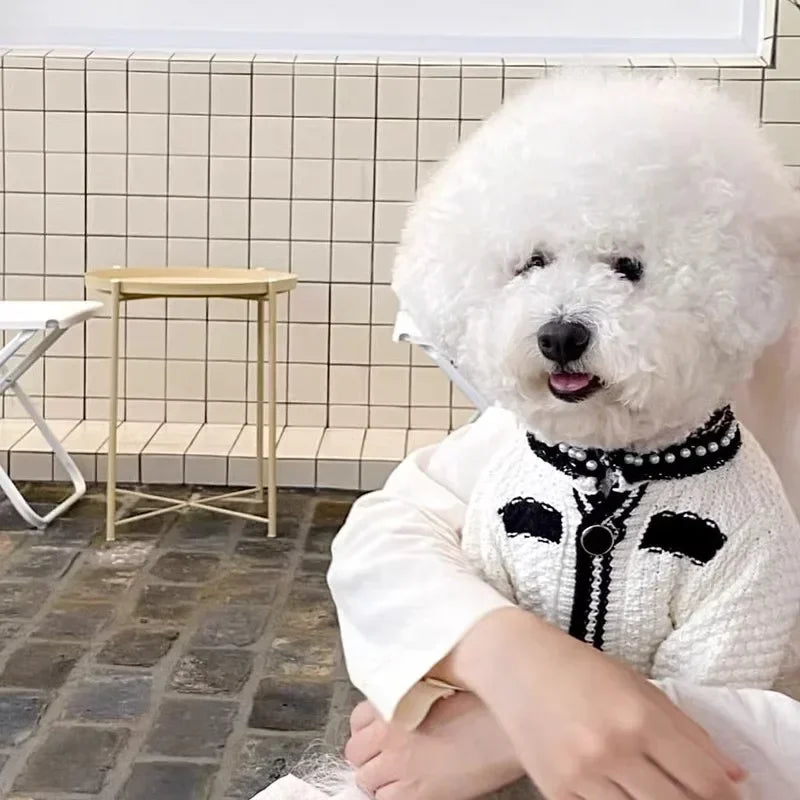 Blue Rabbit Dog Clothes Pet knitted Sweater Autumn and Winter Clothes Teddy Cat Bottoming Shirt Puppy Warm Pullover XS-XL
