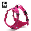 Truelove Pet harness Fashionable Nylon Durable Dog Harness Reflective Breathable Padded Training Vest Luxury Pet Accessories