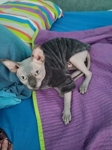 Fashionable Clothes For Cats Sphynx Cat Sweater Kitten Clothing Hound Dog Hoodie Clothes For Sphinx Cat Outfit Pet Jumpsuits - Play Paws Toys