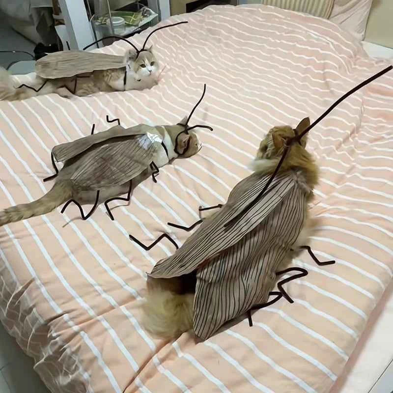Supplies Cat Cosplay Dress Up Cockroach Costume Pet Breathable Clothing Funny Party Decor Outfit Uniform Pet