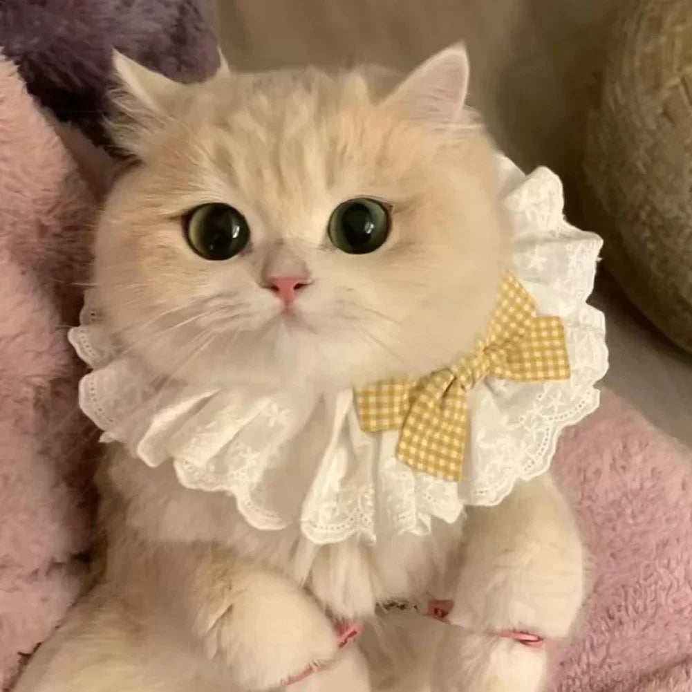 Cute Dog Collar Lace Bowknot Pearl Cat Necklace Sweet Neck Decoration Elegant Gentle Puppy Necktie Kitten Bibs Pet Supplies