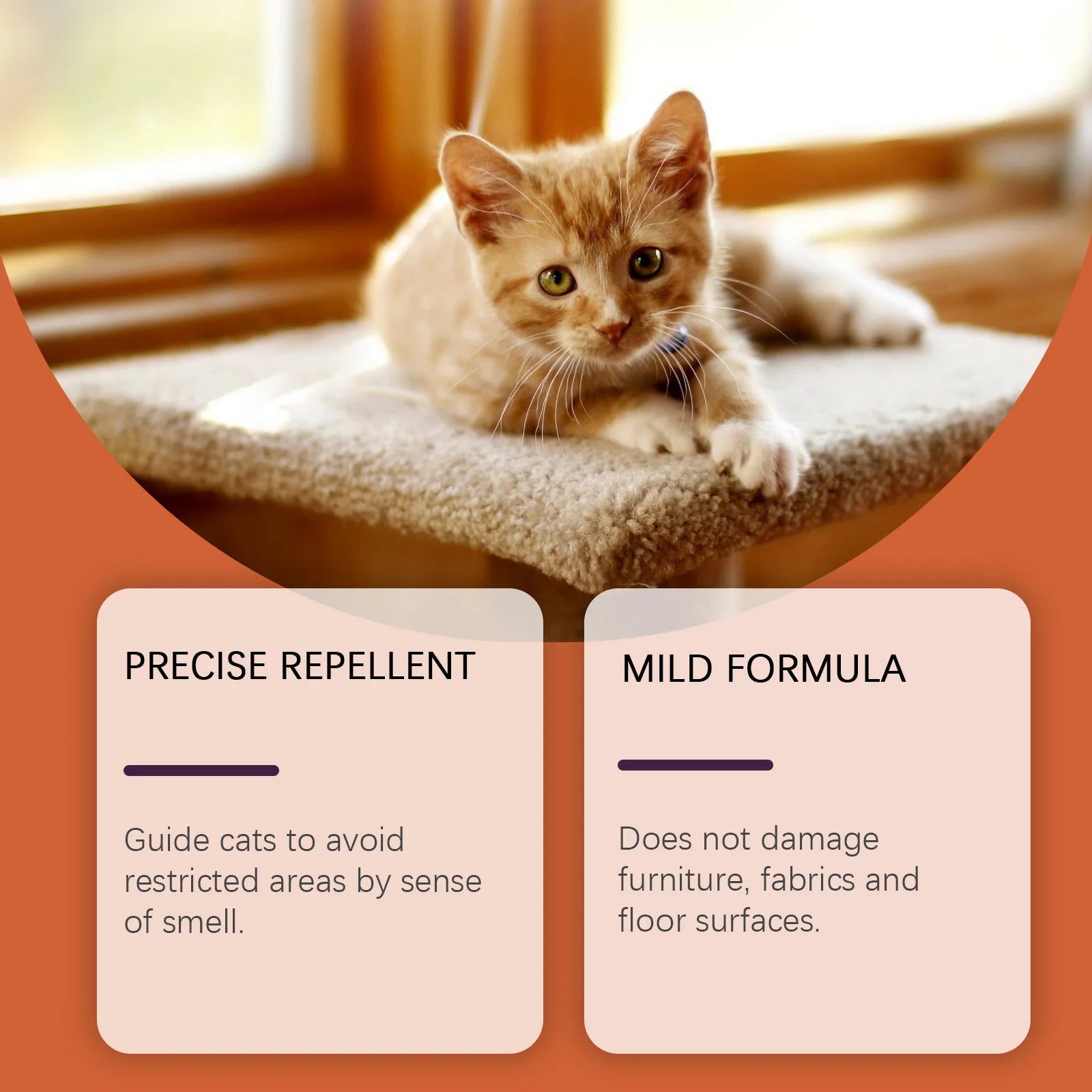 Car/Furniture-Specific Cat Deterrent Spray – Prevents Scratching & Inappropriate Urination, Protects Living Rooms & Bedrooms