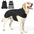 New Dog Winter Jacket Waterproof Reflective Pet Coat Outdoor Vest  Warm Cotton Dogs Clothing for Large Middle Dogs Clothes