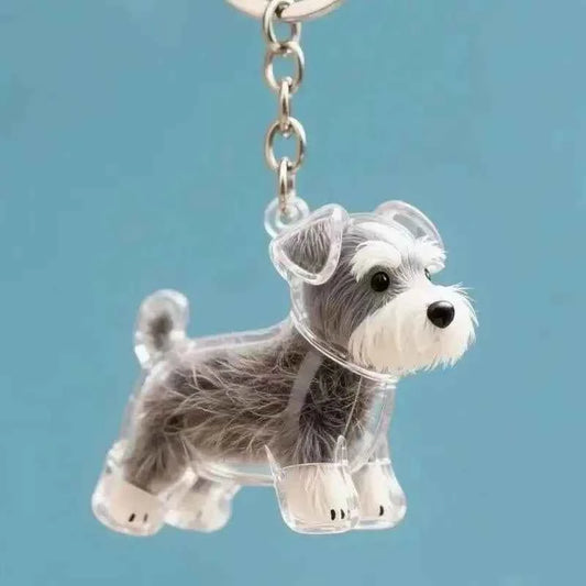 Dog Cat Hair Storage Pendant Keychain Box Couple Car Key Chains Jewelry Souvenir Pet Lover Keepsake Memorial Keychain Gift Decor