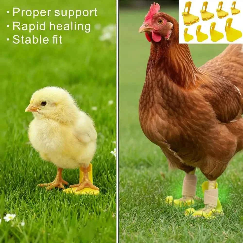 4pcs Professional Adjustable Chicken Leg Splint Reusable Ightweight Duck Leg Splint Durablel Poultry Leg Brace Poultry Care