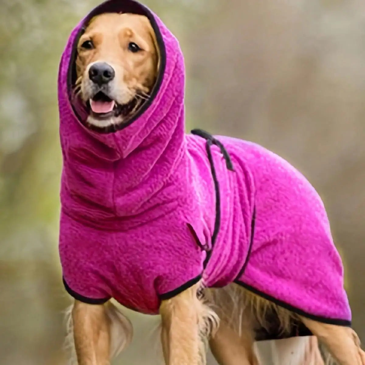 Generic Dog Winter Coat for Whippet, Greyhound Cosy Fleece Jumper, Jacket Lurcher and Clothe with Warm Lining, Adjustable Band M