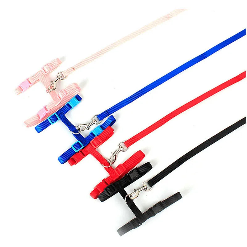 Escape-proof Small Dog Cat Harness Collar with Leash Set H Shape Choke Free Puppy Kitten Harness Soft Nylon Strap Collar for Pet