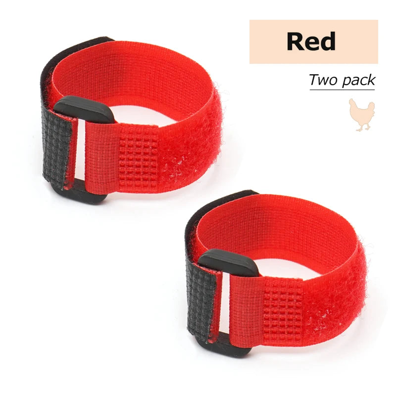 2Pcs No Crow Rooster Collar Chicken Collar Noise Free Anti-Hook Neckband Poultry Collars Supplies