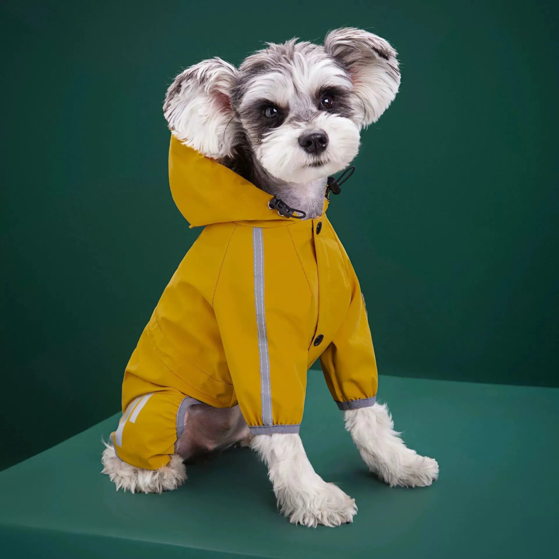 Dog Raincoat All-inclusive Four-legged Waterproof Poncho Teddy Bomei Rainy Day Pet Clothes Small Medium Dog Raincoat