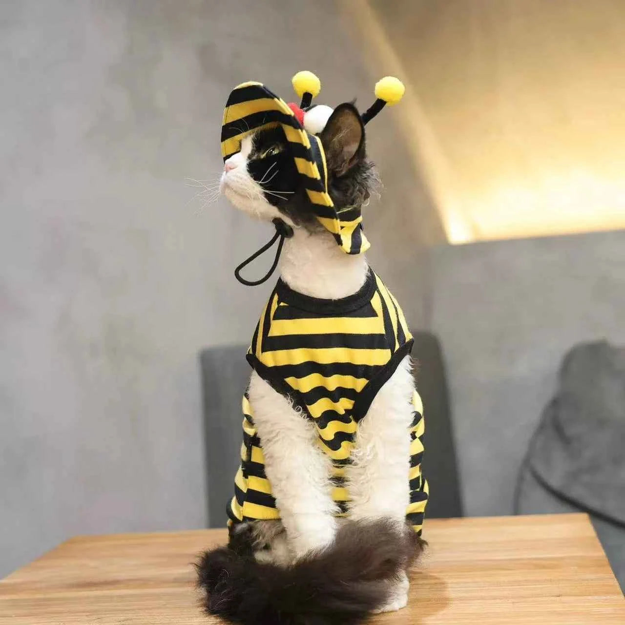 2Pcs Bee Themed Cat Outfit Set, Striped T-Shirt + Sun Hat, Cute Pet Costume for Halloween & Photo Props, Breathable Outfit for S