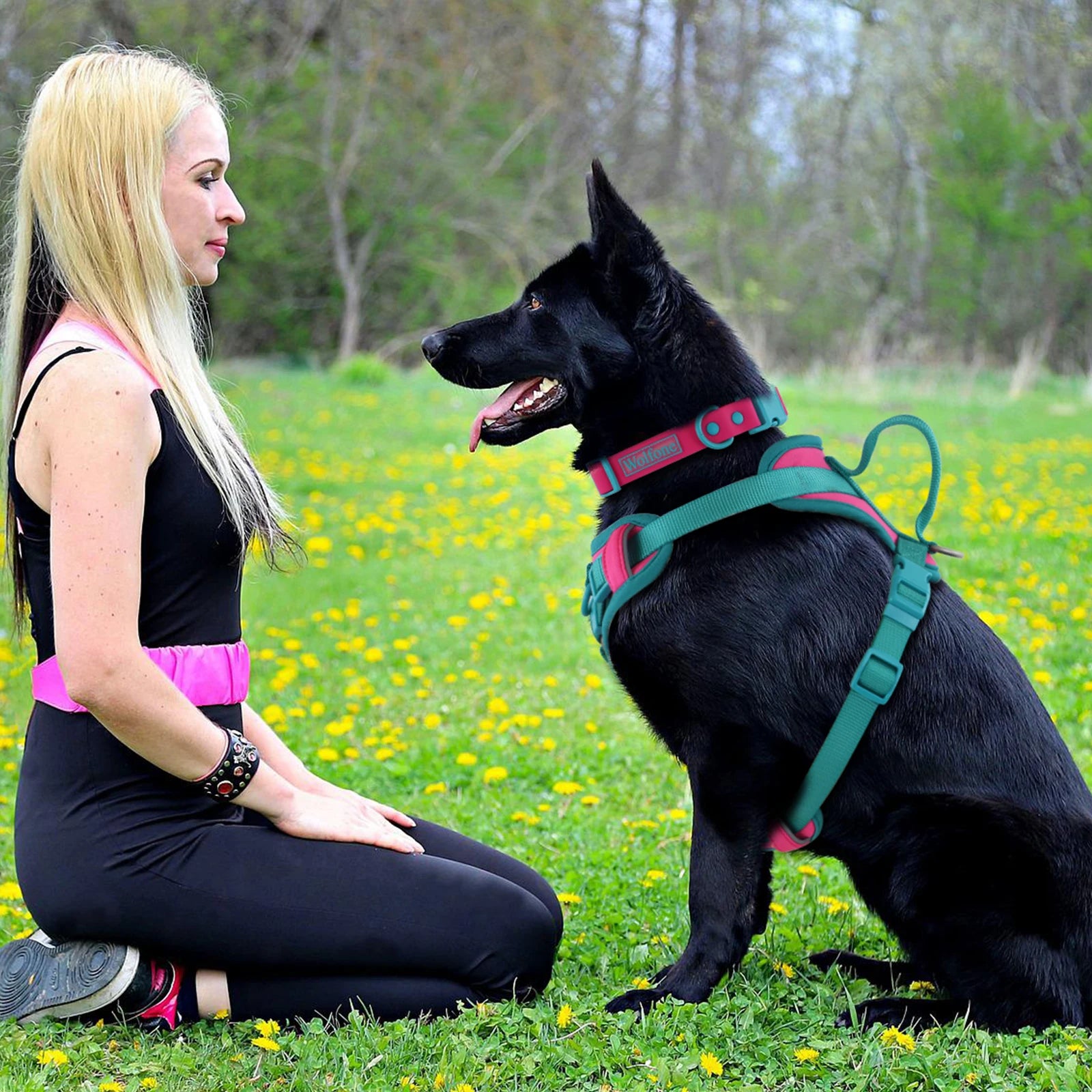 Splicing Colors Breathable For Medium No Pull Dog Harness for large Small dogs Adjustable Chest Strap Dog Harness Personalized