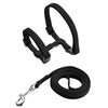 Escape-proof Small Dog Cat Harness Collar with Leash Set H Shape Choke Free Puppy Kitten Harness Soft Nylon Strap Collar for Pet