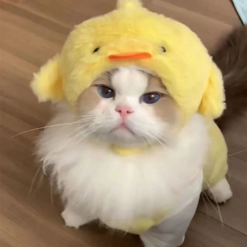 Funny Pet Headband Plush Yarn Panda Pig Chick Cat Dog Warm Cosplay Costume Headdress for Cats Dogs Pets Supplies Accessories