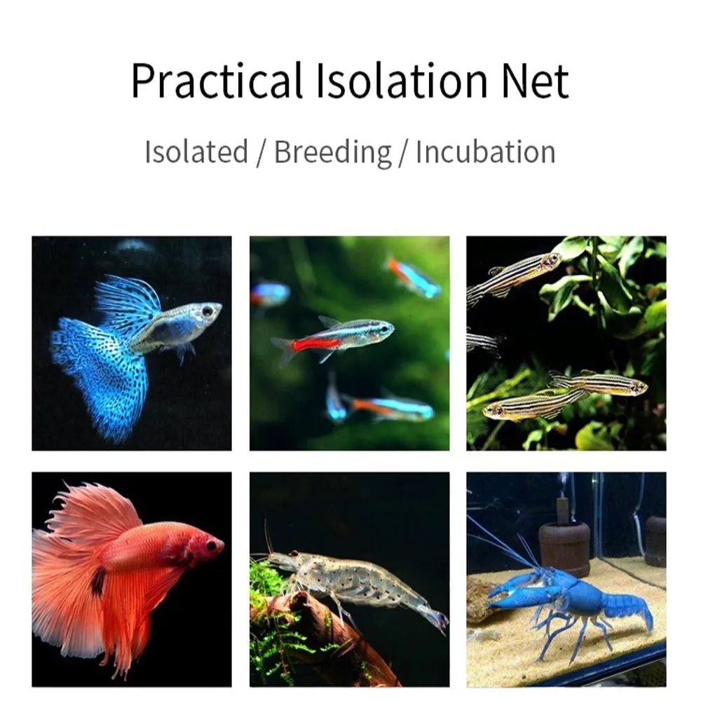 Aquarium Fish Breeding Isolation Mesh Box Net Fish Incubator Breeder Hatchery Fish Tank Isolation Box