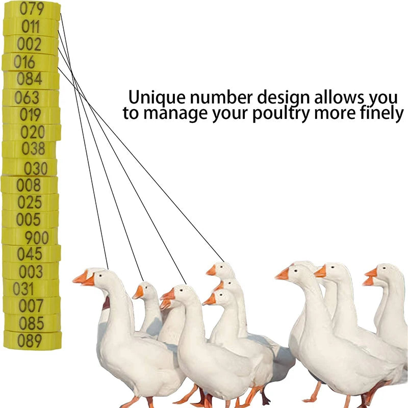10-50PCS High-quality Chicken Foot Ring 6 Colors Numbered Identification Leg Rings Clip for Poultry Chickens Ducks Geese Parrot