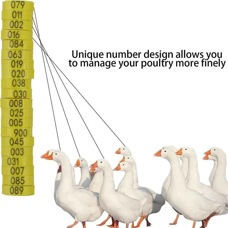 10-50PCS High-quality Chicken Foot Ring 6 Colors Numbered Identification Leg Rings Clip for Poultry Chickens Ducks Geese Parrot