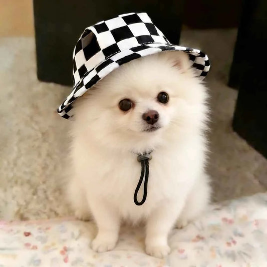 Cute Print Dog Hat for Small Medium Dogs Adjustable Pet Cap Puppy Pug Corgi Dachshund Hats mascotas perros Accessories