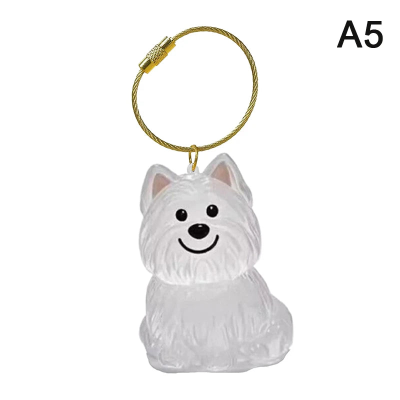 Clear Pet Hair Memorial Keepsake Capsule Dog Fur Container DIY Pendant Keychain Decor Animal Lovers Home Display Gift Idea