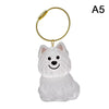 Clear Pet Hair Memorial Keepsake Capsule Dog Fur Container DIY Pendant Keychain Decor Animal Lovers Home Display Gift Idea