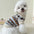 Blue Rabbit Dog Clothes Pet knitted Sweater Autumn and Winter Clothes Teddy Cat Bottoming Shirt Puppy Warm Pullover XS-XL