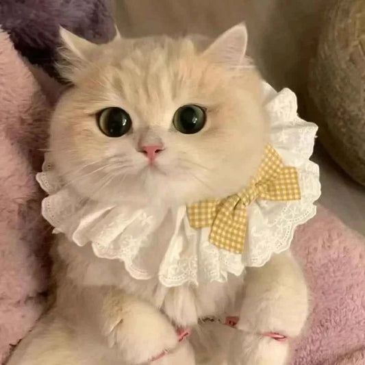 Cute Dog Collar Lace Bowknot Pearl Cat Necklace Sweet Neck Decoration Elegant Gentle Puppy Necktie Kitten Bibs Pet Supplies