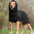 Generic Dog Winter Coat for Whippet, Greyhound Cosy Fleece Jumper, Jacket Lurcher and Clothe with Warm Lining, Adjustable Band M